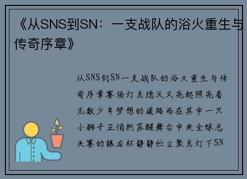 《从SNS到SN：一支战队的浴火重生与传奇序章》